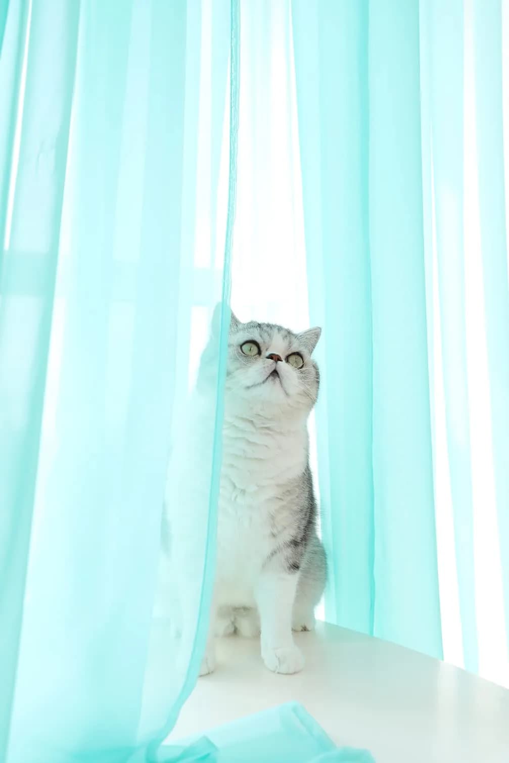 PHILEASY Lake Blue Sheer Curtains 145" Long - Pack of 2 Light-Filtering Rod Pocket Panels - view 2
