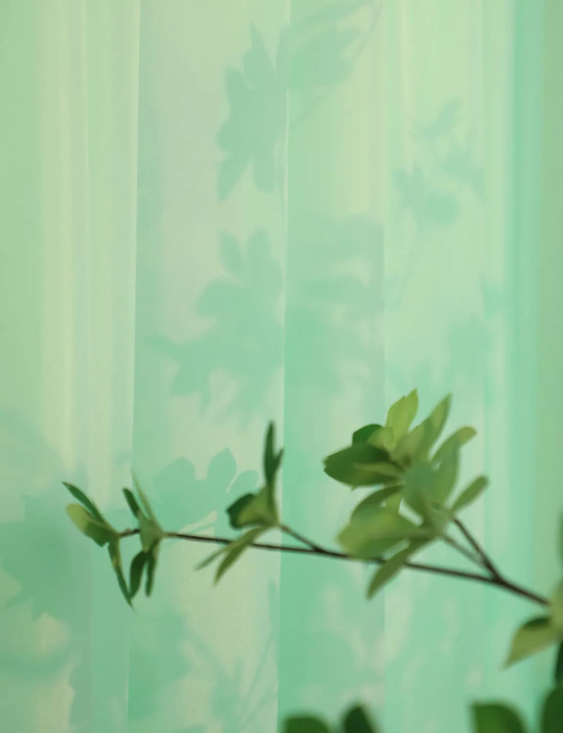 PHILEASY Light Green Sheer Curtains 145" Long | Pack of 2 Light-Filtering Rod Pocket Panels - view 2
