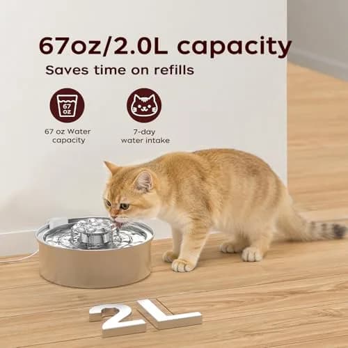 OYES Cat Water Fountain, Stainless Steel 2L | Ultra-Quiet Circulating Pet Water Dispenser thumbnail 3