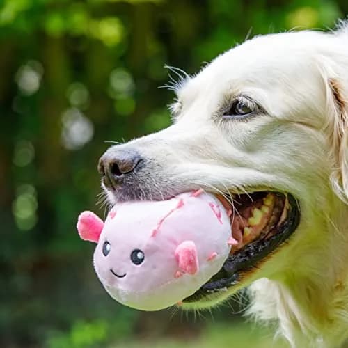 Petface Planet Pippa Puffa Fish Eco-Friendly Plush Dog Toy 18cm (7in) | Recycled Materials & Built-in Squeaker thumbnail 5