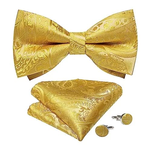 DiBanGu Silk Bow Tie Pre-Tied Bowtie Set for Men In Gift Box,Yellow | Adjustable Classic Paisley Pattern thumbnail 1