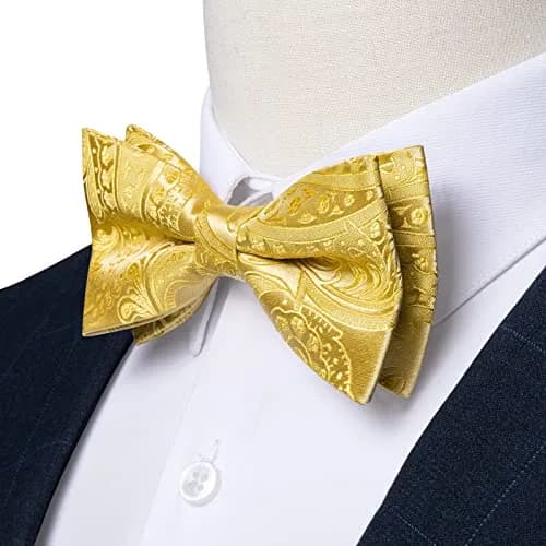 DiBanGu Silk Bow Tie Pre-Tied Bowtie Set for Men In Gift Box,Yellow | Adjustable Classic Paisley Pattern thumbnail 4