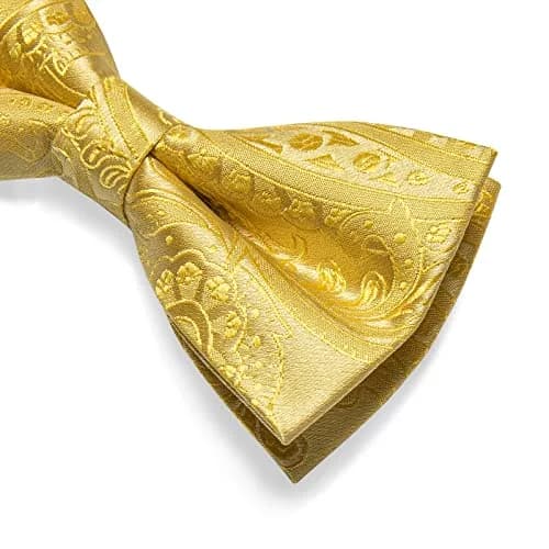 DiBanGu Silk Bow Tie Pre-Tied Bowtie Set for Men In Gift Box,Yellow | Adjustable Classic Paisley Pattern thumbnail 5