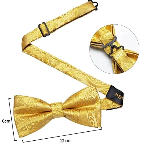 DiBanGu Silk Bow Tie Pre-Tied Bowtie Set for Men In Gift Box,Yellow | Adjustable Classic Paisley Pattern thumbnail 7