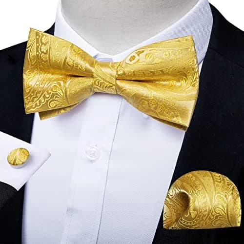 DiBanGu Silk Bow Tie Pre-Tied Bowtie Set for Men In Gift Box,Yellow | Adjustable Classic Paisley Pattern thumbnail 2