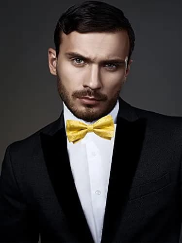 DiBanGu Silk Bow Tie Pre-Tied Bowtie Set for Men In Gift Box,Yellow | Adjustable Classic Paisley Pattern thumbnail 3