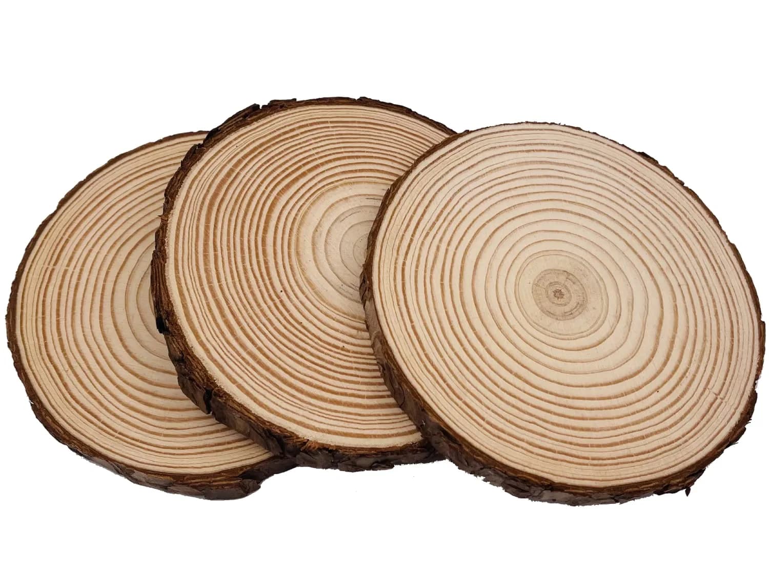 William Craft Natural Wood Slices 9 Pcs 13-14cm (5.1-5.5 inch) Rustic Wedding DIY Craft Wood Kit | Pack of 9 - view 2