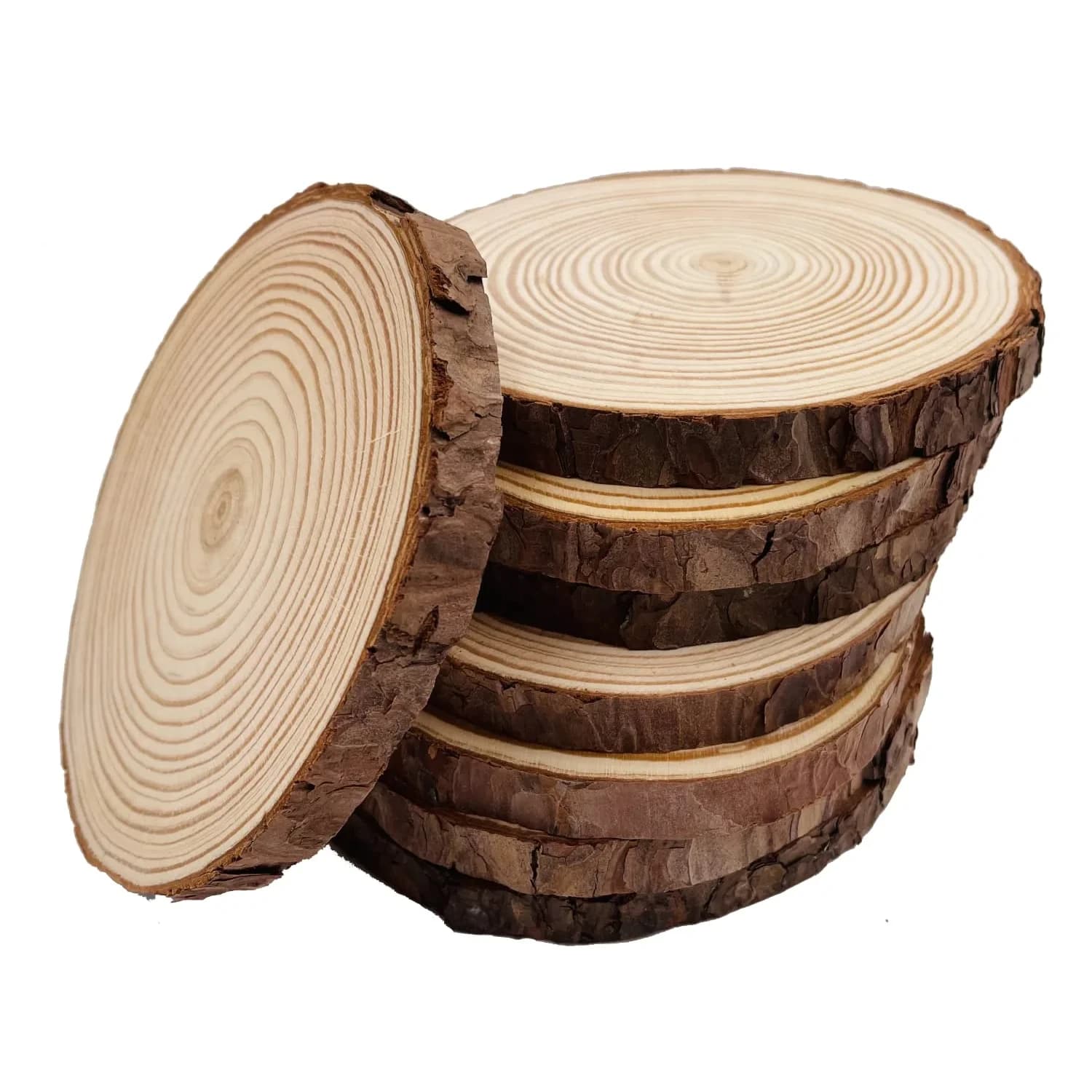 William Craft Natural Wood Slices with Bark 8 Pcs 14-15cm (5.5-6 inch) | Rustic Wedding & DIY Craft Wood Circles