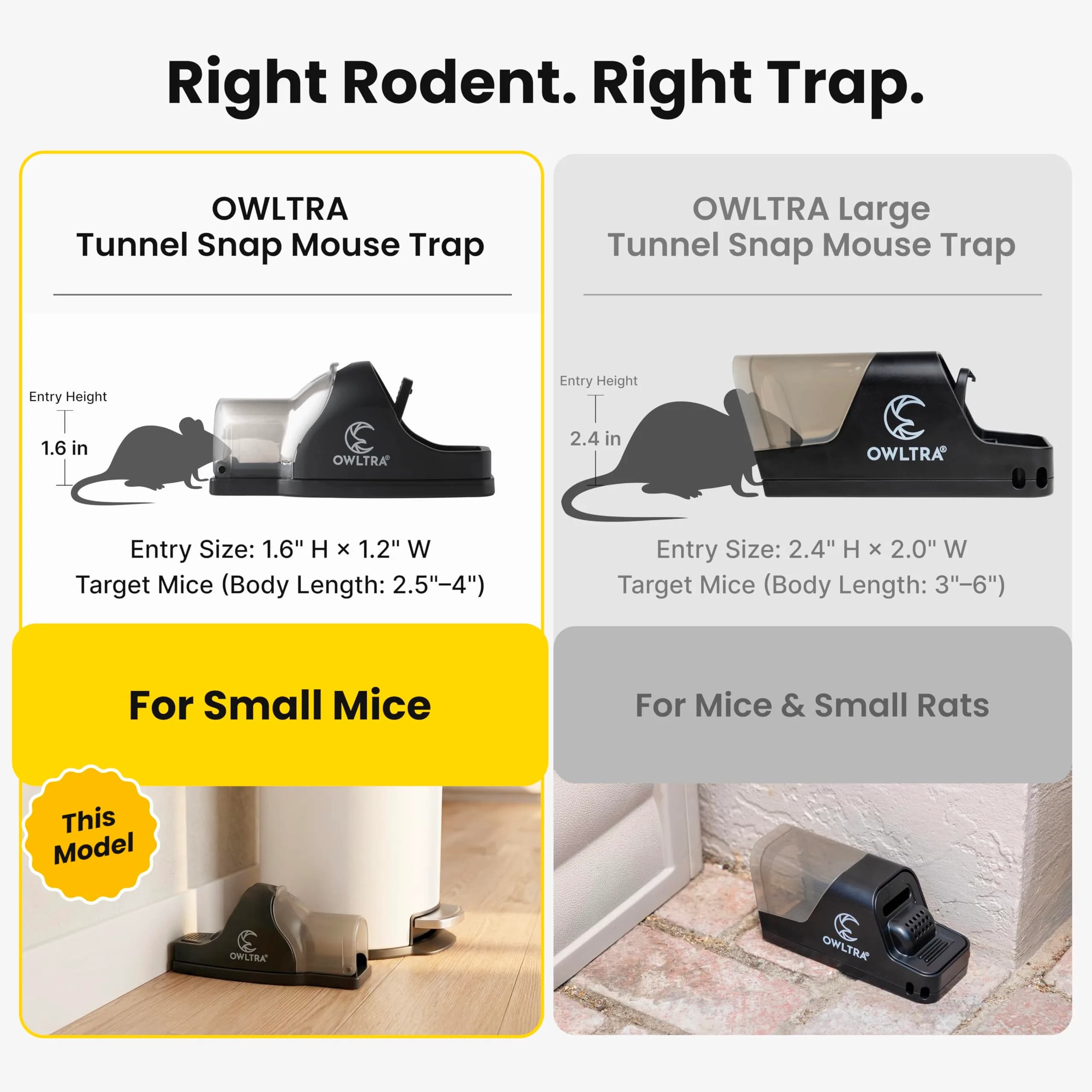 OWLTRA Tunnel Snap Trap for Rats & Mice - Pet-Safe, Touch-Free Release, Black (2 Pack) - view 3