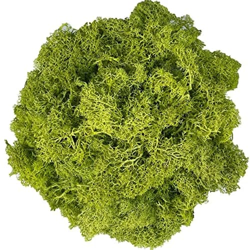 Gusaloo Artificial Moss Preserved 3.5oz | Long-Lasting Indoor Decor for Craft & Floral thumbnail 1