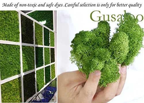 Gusaloo Artificial Moss Preserved 3.5oz | Long-Lasting Indoor Decor for Craft & Floral thumbnail 6