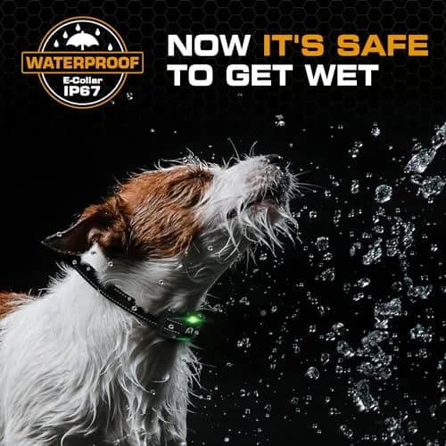 INVIROX Dog Training Collar with Remote, 2 Dog System, 123 Levels, 1100 Yards Range, IP67 Waterproof, Keypad Lock | Professional E-Collar for Large Breeds thumbnail 3