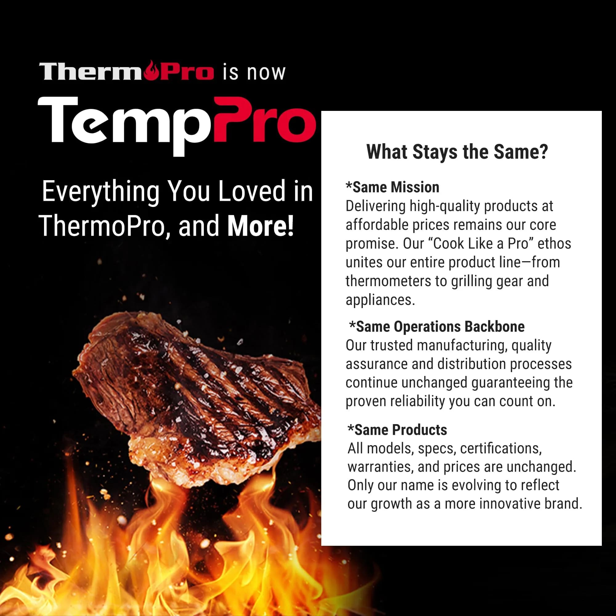 TempPro TP16 Digital Meat Thermometer for Cooking | 0-300°C (32-716°F) Probe - view 9