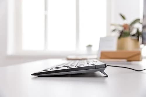 Cherry Stream Keyboard TKL, Wired Keyboard Without Number Pad, Whisper Quiet Keys, Slim Design, SX Switches, QWERTY, White-Gray | Compact & Silent thumbnail 5
