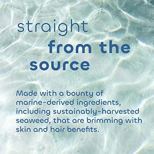 The Seaweed Bath Co. Heat Care Shampoo – Lime Papaya Scent, 12 Fl Oz | For Heat Damaged Hair, Color Safe thumbnail 3