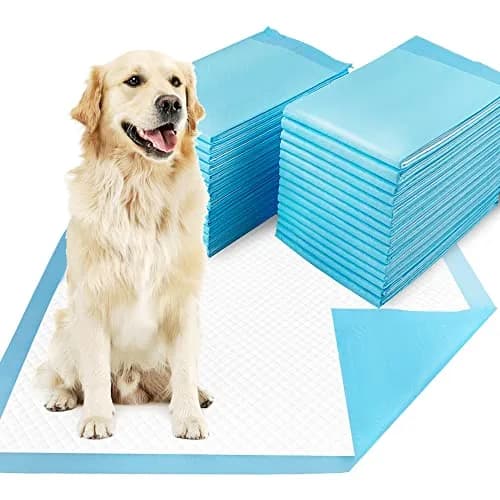 Dogcator Extra Large Dog Pee Pads 30"x36" | Super Absorbent, Leak-Proof for Indoor & Outdoor Use thumbnail 1