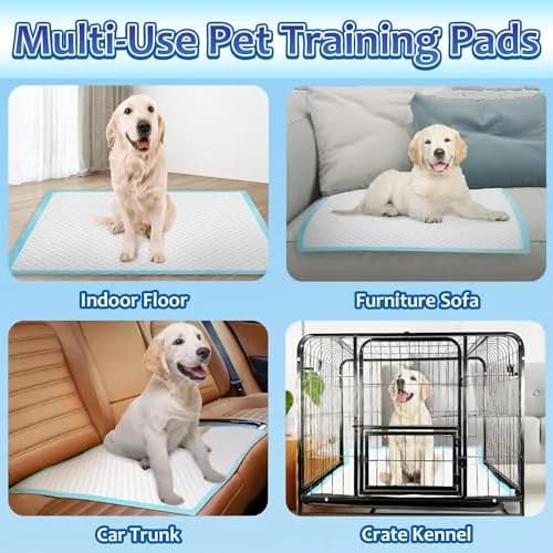 Dogcator Extra Large Dog Pee Pads 30"x36" | Super Absorbent, Leak-Proof for Indoor & Outdoor Use thumbnail 6