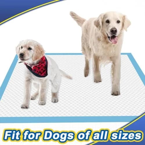 Dogcator Extra Large Dog Pee Pads 30"x36" | Super Absorbent, Leak-Proof for Indoor & Outdoor Use thumbnail 9