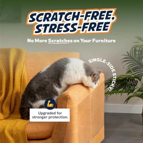 Panther Armor Clear Furniture Protector Sheets 12-Pack (6 XL + 6 L) | Protects Fabric Sofas & Chairs from Cat Claws thumbnail 2