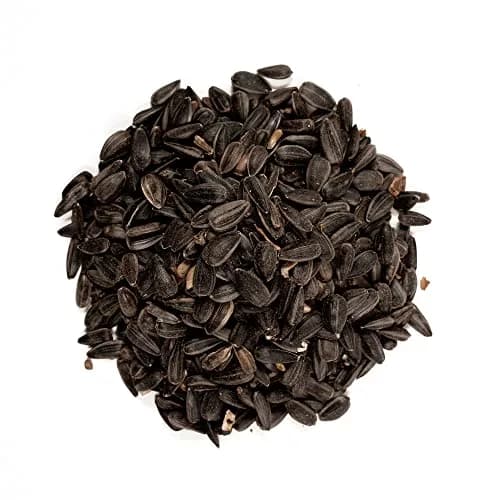 Shafer Seed 40-Pound Bag Black Oil Sunflower Wild Bird Food | Extra Clean, High Energy Seeds thumbnail 3