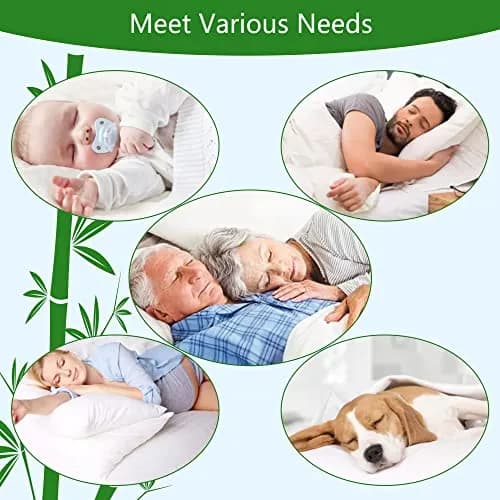 GOONIK Queen Mattress Protector Breathable Bamboo Viscose Waterproof 60x80 with 6-18 inch Deep Pocket thumbnail 6