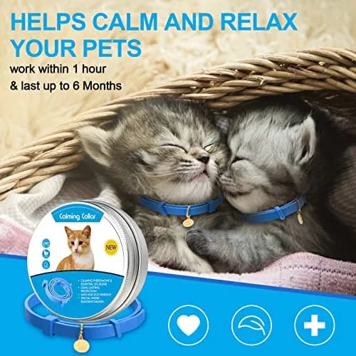 Weewooday 4pcs Cat Calming Collar with Pheromones, 38cm (15 Inches) | Reduces Anxiety & Aggression thumbnail 2