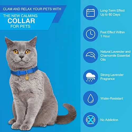 Weewooday 4pcs Cat Calming Collar with Pheromones, 38cm (15 Inches) | Reduces Anxiety & Aggression thumbnail 3