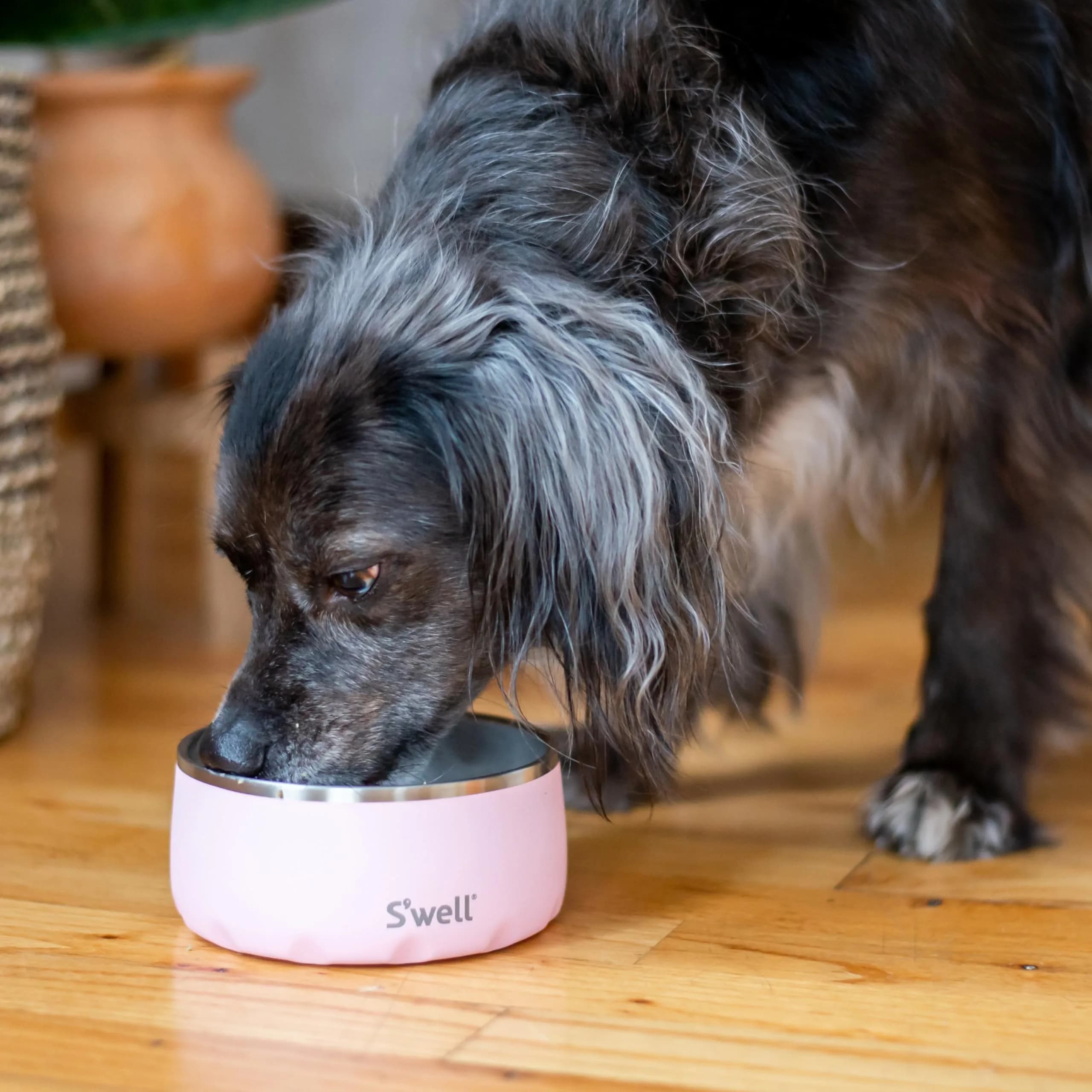 S'well Stainless Steel Pet Bowl 16oz (470ml) | Non-Slip Base for Dogs - view 5