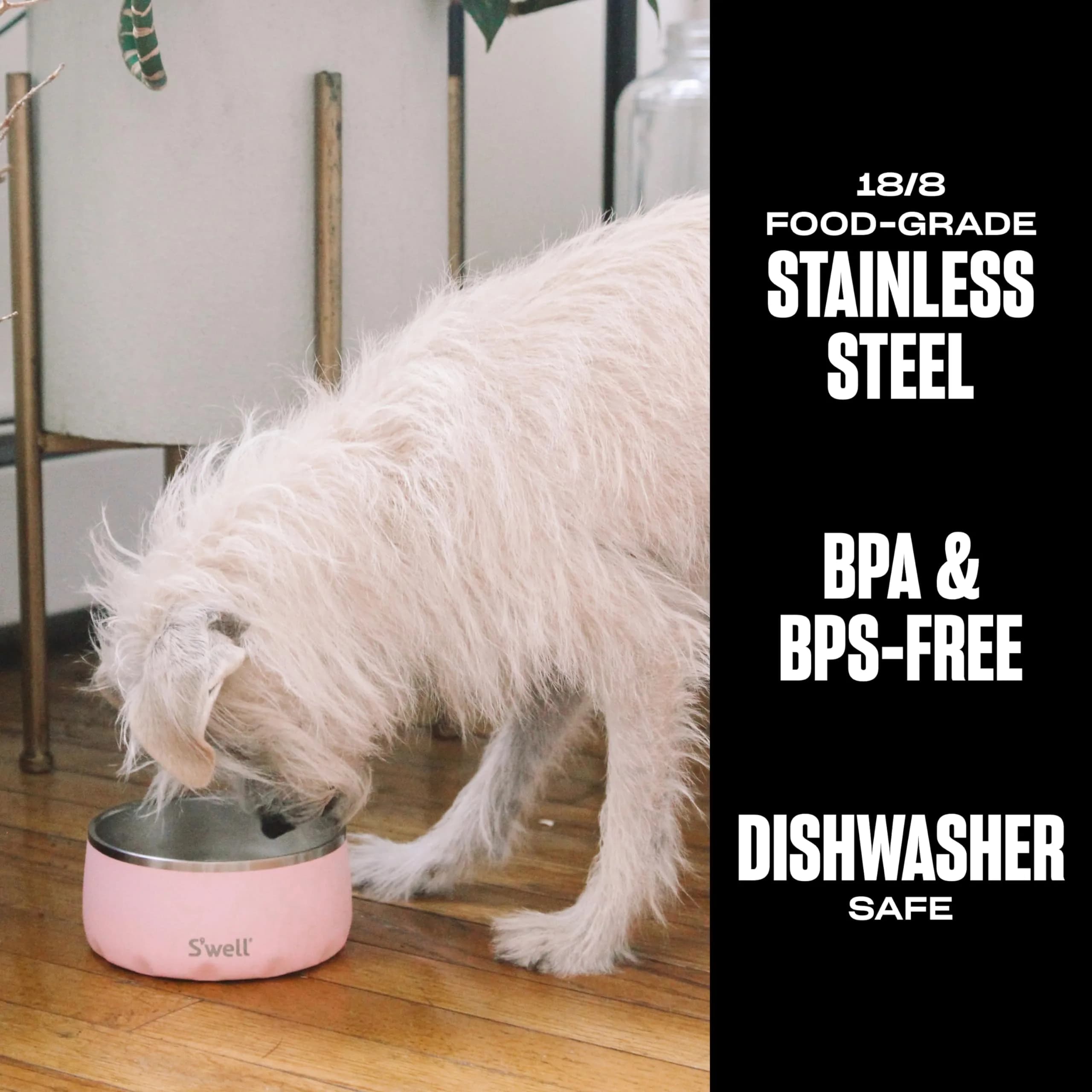 S'well Stainless Steel Pet Bowl 16oz (470ml) | Non-Slip Base for Dogs - view 2