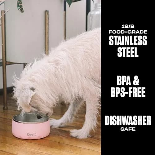 S'well Stainless Steel Pet Bowl 16oz (470ml) | Non-Slip Base for Dogs thumbnail 2