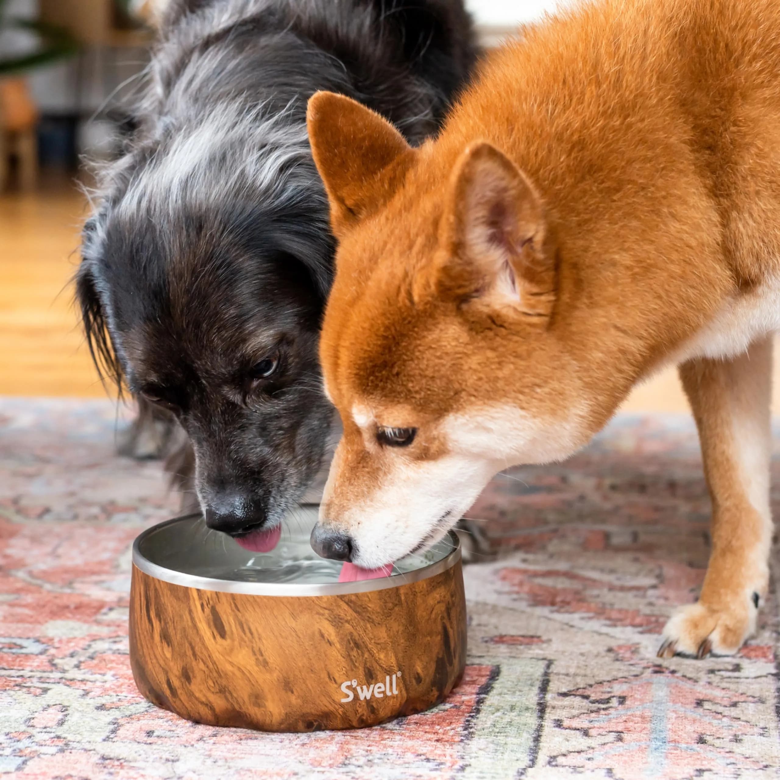 S'well Stainless Steel Pet Bowl 32oz (950ml) Teakwood | Non-Slip Base for Dogs - view 5