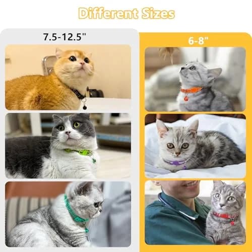 Taglory Reflective Cat Collar 6-8 in | Safety & Night Visibility (110 characters) thumbnail 4