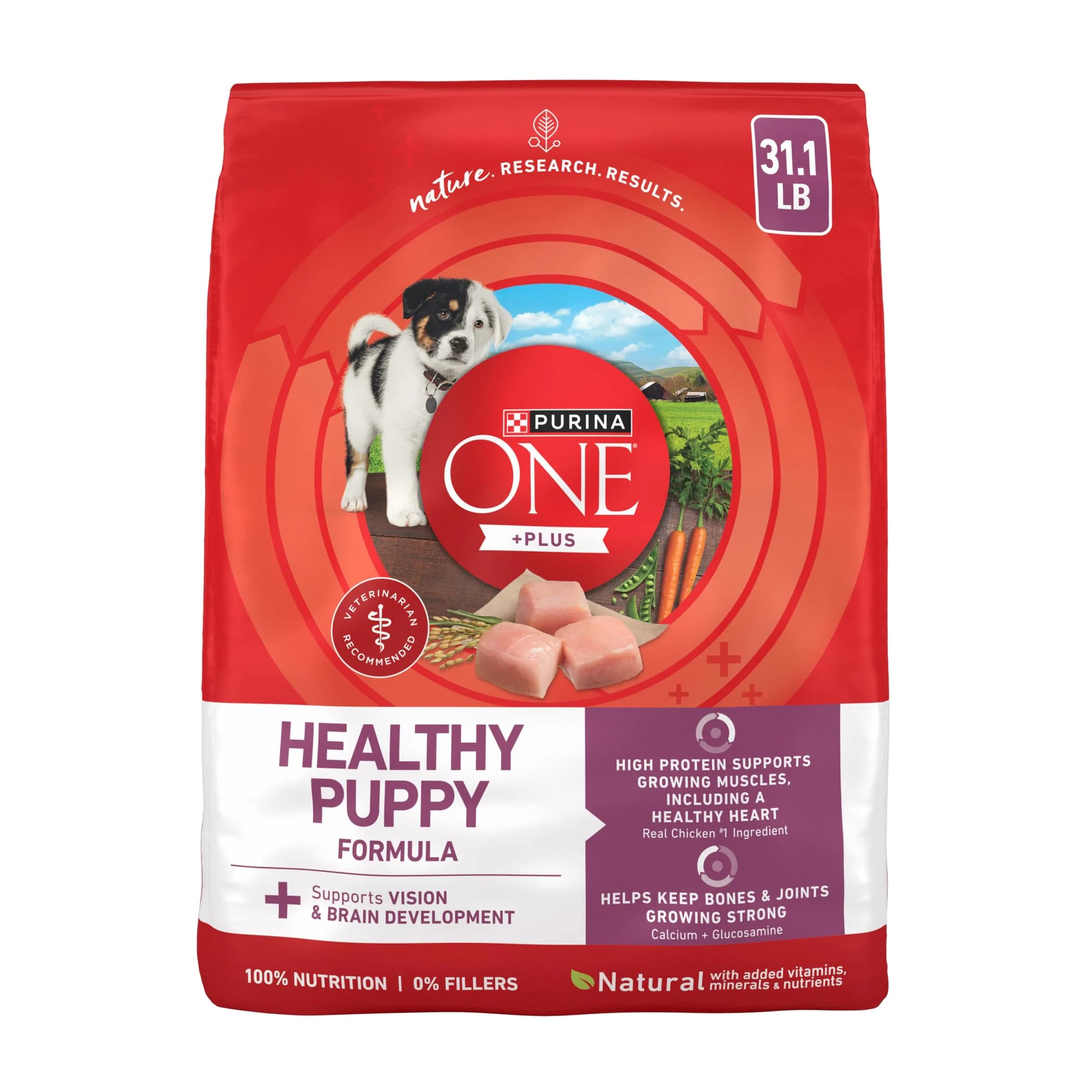 Purina ONE Plus Healthy Puppy Dry Food, Chicken, 8 lb Bag | High Protein with DHA for Growing Puppies — 31.1 Pound