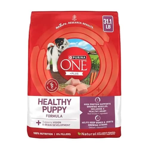Purina ONE Plus Healthy Puppy Dry Food, Chicken, 31.1 lb Bag | High-Protein with DHA & Natural Ingredients thumbnail 1