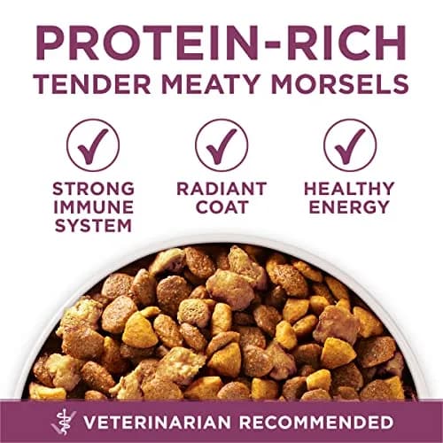 Purina ONE Plus Healthy Puppy Dry Food, Chicken, 31.1 lb Bag | High-Protein with DHA & Natural Ingredients thumbnail 7
