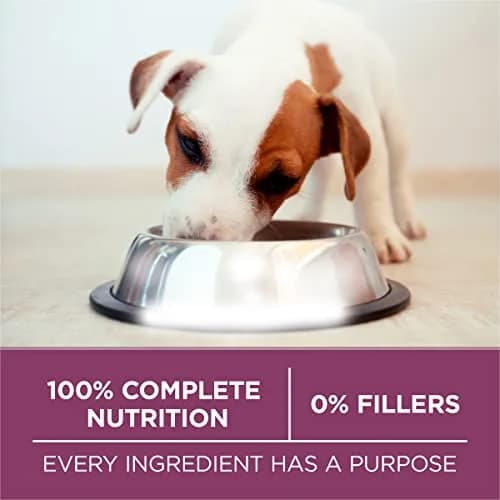 Purina ONE Plus Healthy Puppy Dry Food, Chicken, 31.1 lb Bag | High-Protein with DHA & Natural Ingredients thumbnail 8