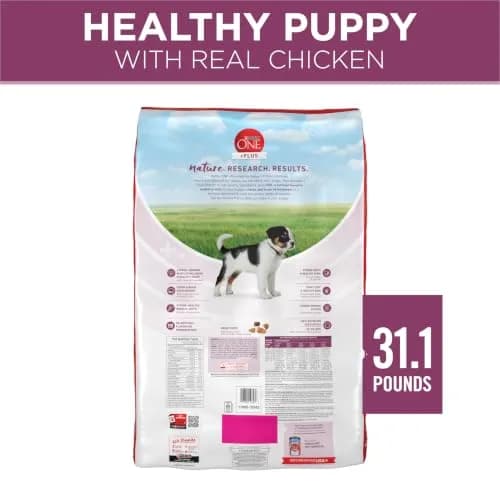 Purina ONE Plus Healthy Puppy Dry Food, Chicken, 31.1 lb Bag | High-Protein with DHA & Natural Ingredients thumbnail 9