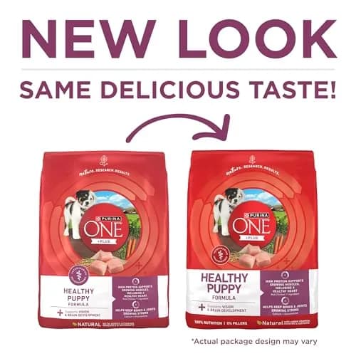 Purina ONE Plus Healthy Puppy Dry Food, Chicken, 31.1 lb Bag | High-Protein with DHA & Natural Ingredients thumbnail 2