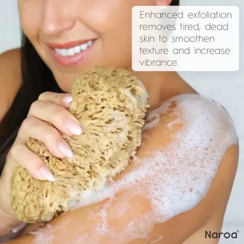 Naroa Exfoliating Natural Sea Sponge for Shower X Large | Bath Loofah for Healthy Skin thumbnail 4