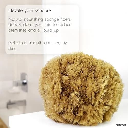 Naroa Exfoliating Natural Sea Sponge for Shower X Large | Bath Loofah for Healthy Skin thumbnail 6