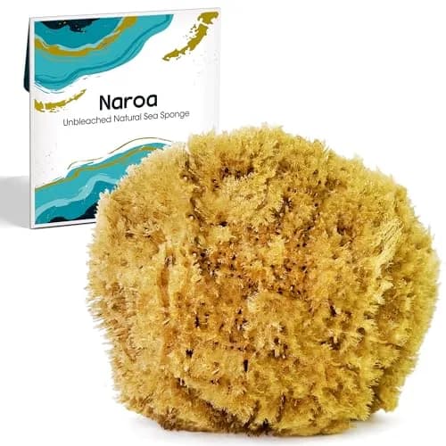 Naroa Exfoliating Natural Sea Sponge for Shower | Bath Loofah for Healthy Skin | Plastic Free (Medium) thumbnail 1