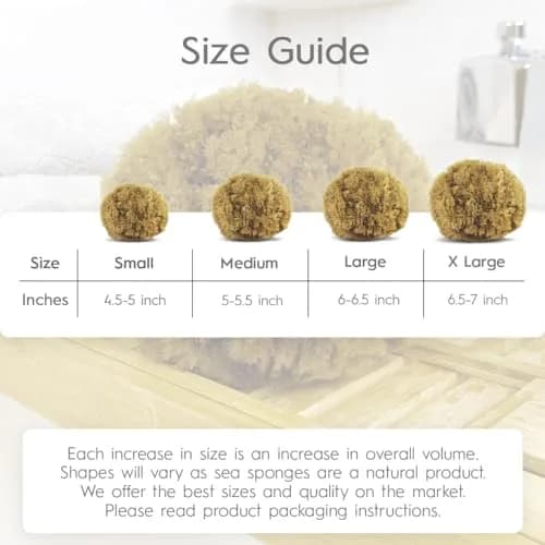 Naroa Exfoliating Natural Sea Sponge for Shower | Bath Loofah for Healthy Skin | Plastic Free (Medium) thumbnail 5