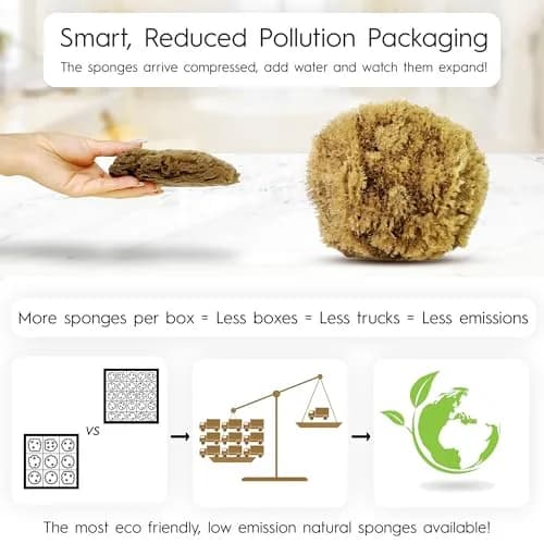 Naroa Exfoliating Natural Sea Sponge for Shower | Bath Loofah for Healthy Skin | Plastic Free (Medium) thumbnail 2