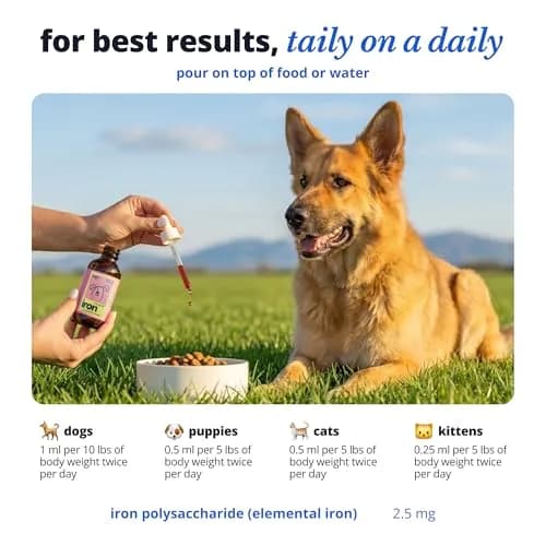 Taily AminoPets Liquid Iron Supplements for Dogs, Cats | Supports Anemia, Low Energy & Lethargy | Made in USA thumbnail 5