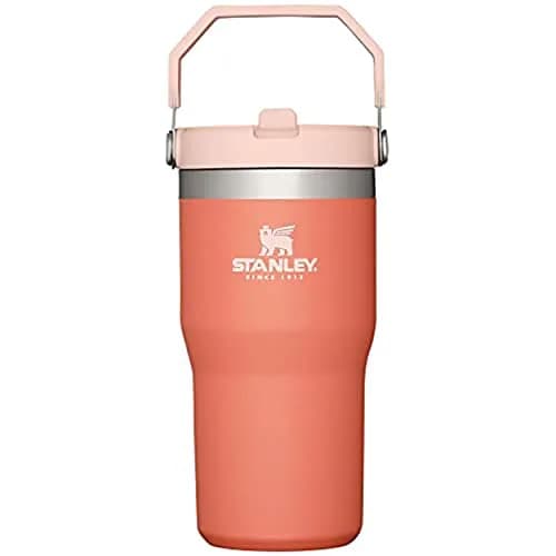 STANLEY IceFlow 2.0 Flip Straw Tumbler, 20 oz (590 ml) | Sip Faster, Spill Less — Grapefruit / 20oz