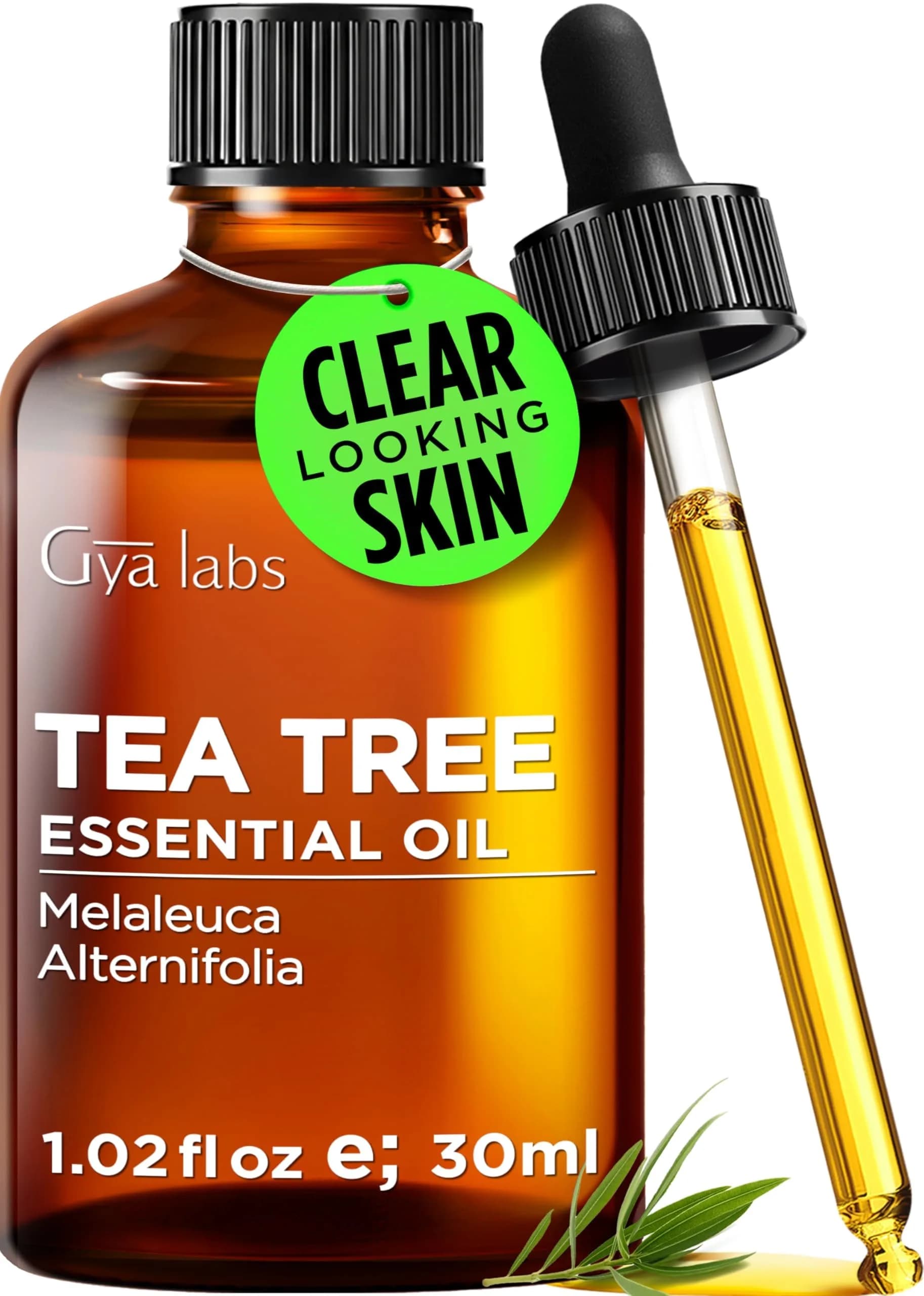 Gya Labs 100% Pure Tea Tree Essential Oil | Hair, Skin, Scalp & Candle Making Scent (1.02 Fl Oz / 30 ml)