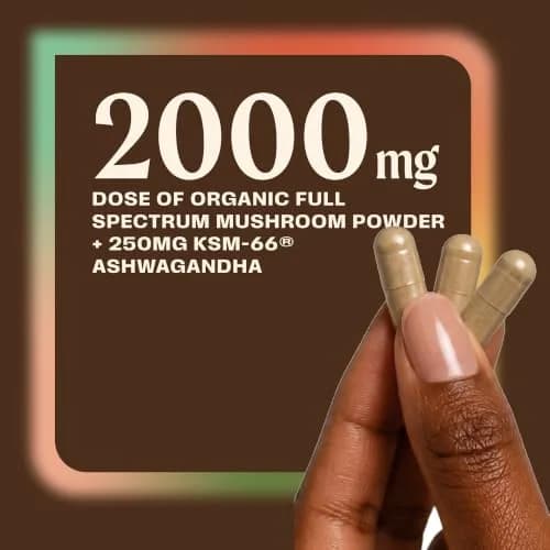 OM MUSHROOM SUPERFOOD Master Blend Mushroom Capsules 168 Count | Supports Immunity & Stress Relief thumbnail 5