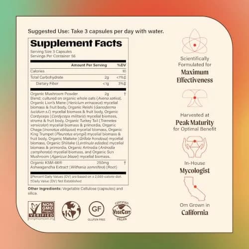 OM MUSHROOM SUPERFOOD Master Blend Mushroom Capsules 168 Count | Supports Immunity & Stress Relief thumbnail 8