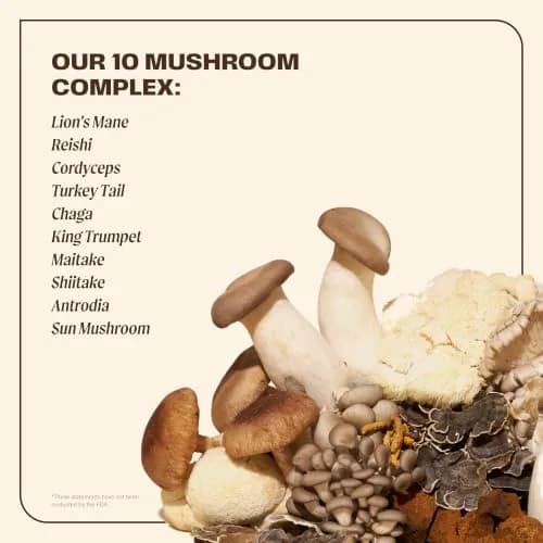 OM MUSHROOM SUPERFOOD Master Blend Mushroom Capsules 168 Count | Supports Immunity & Stress Relief thumbnail 3