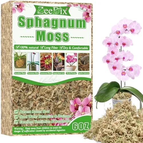 ZeeDix Natural Sphagnum Moss 6 oz (170g) | Long Fiber for Indoor Plants, Terrariums & Reptiles thumbnail 1